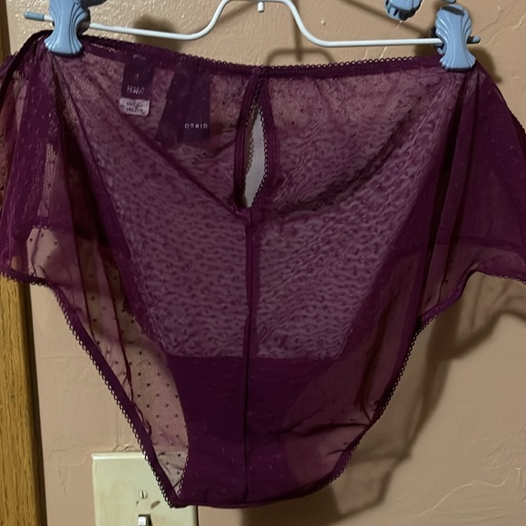 TORRID size 3X NWTS hipster lace sheer panties w/ keyhole back - Picture 4 of 6